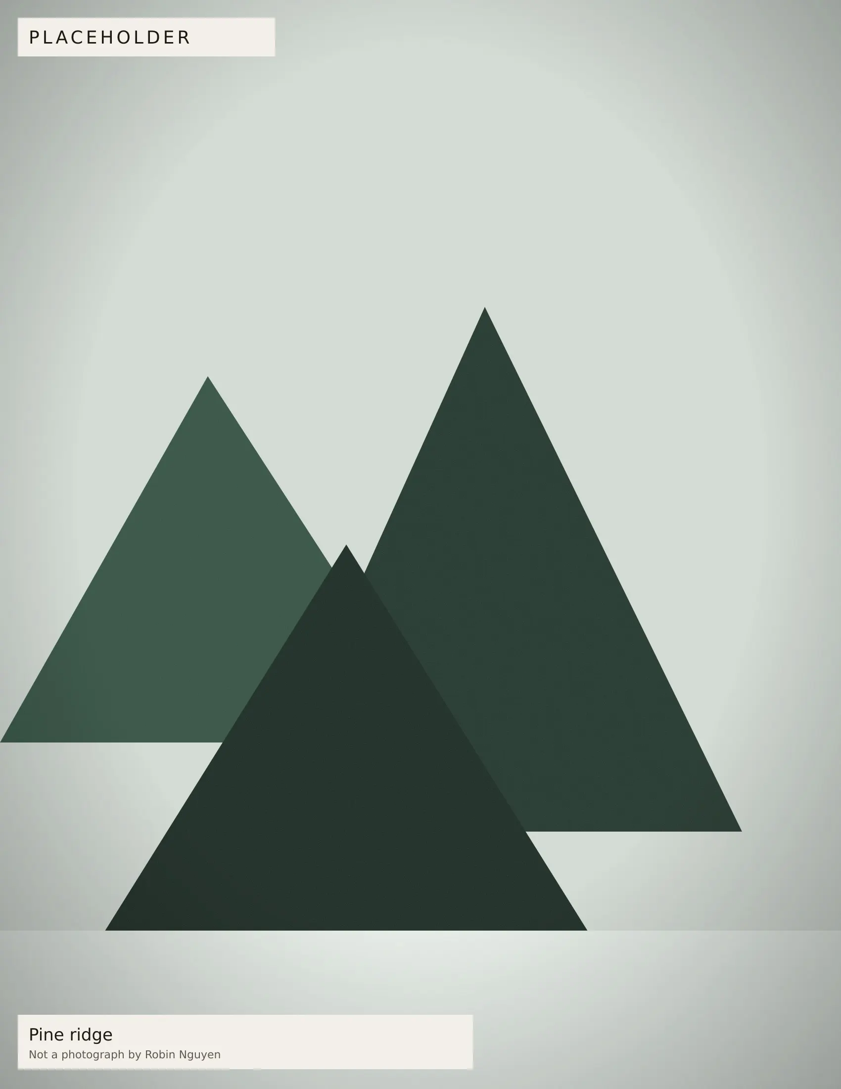 Placeholder — Pine ridge. Placeholder image, not a photograph by Robin Nguyen.