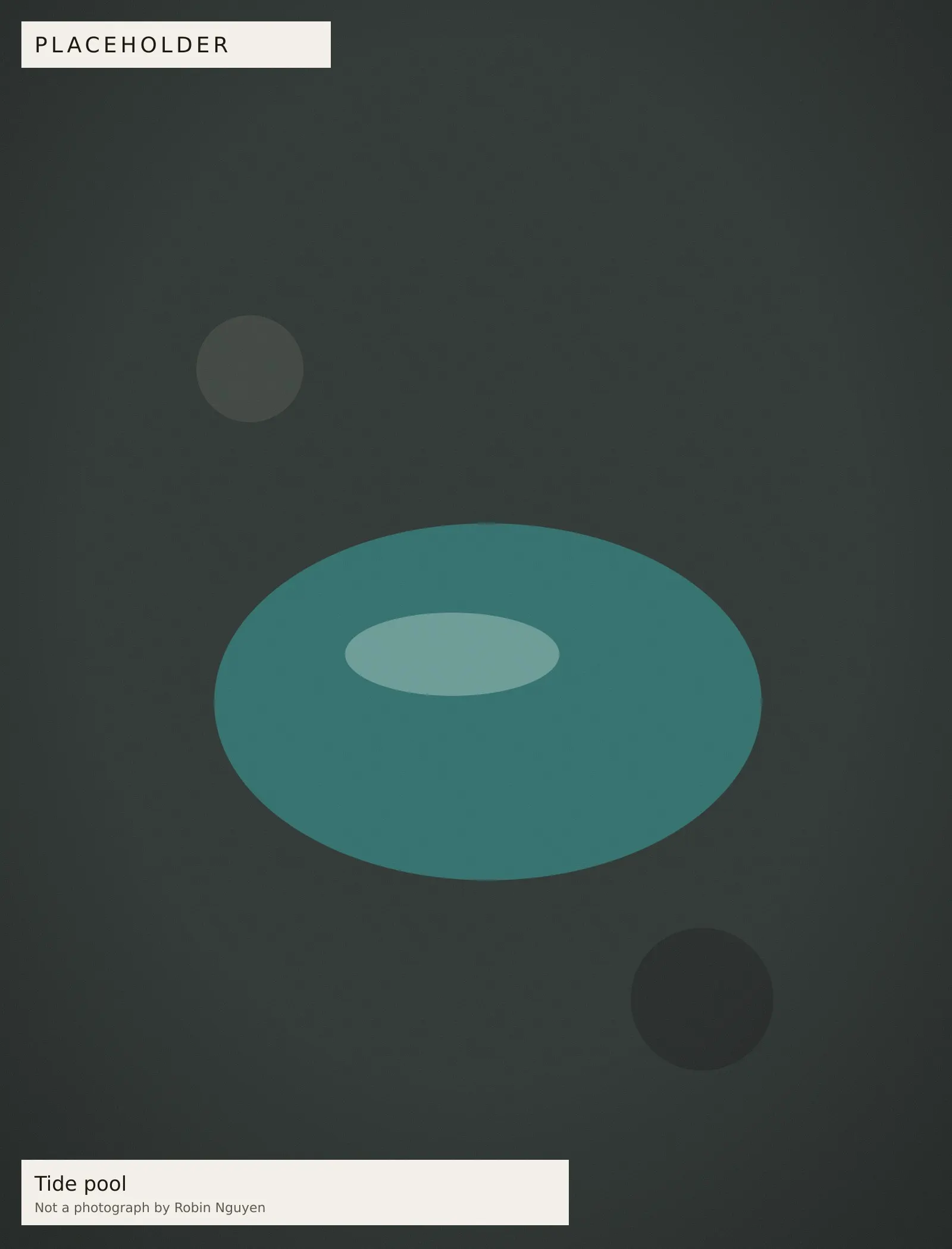 Placeholder — Tide pool. Placeholder image, not a photograph by Robin Nguyen.